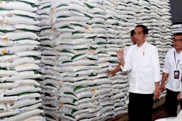 {Presiden Jokowi saat meninjau Gudang Bulog Rawang Timur, Kota Padang, Sumatera Barat. (Dok. Presidenri.go.id).