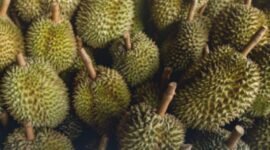 Kementerian Koordinator Bidang Kemaritiman dan Investasi (Kemenko Marves) bersama Pemprov Sulawesi Tengah melakukan koordinasi percepatan ekspor durian Ke Tiongkok. (Dok. maritim.go.id)