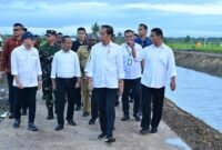 Presiden Joko Widodo (Jokowi) bersama Menteri Pertanian Andi Amran Sulaiman mengunjungi lahan pertanian modern di Distrik Kurik, Kabupaten Merauke. (Dok. Pertanian.go.id)