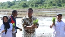 Wakil Menteri Pertanian Republik Indonesia (Wamentan RI) Sudaryono terjun ke sawah. (Dok. Kementerian Pertanian)