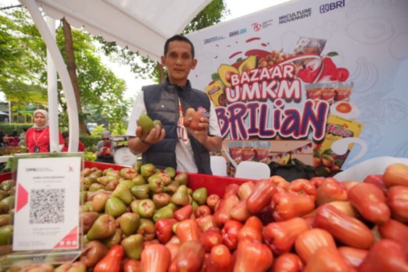 Siswadi dengan jambu air unggulannya yang berhasil 'dipopulerkan' oleh petani di Desa Menawan, Kecamatan Gebok, Kabupaten Kudus, Jawa Tengah. (Dok. BRI)