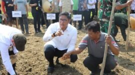 Wakil Menteri Pertanian Sudaryono mengungkapkan bahwa pemerintah tengah menggencarkan program cetak sawah baru seluas 3 juta hektar, guna memastikan ketahanan pangan. (Dok. Kementerian Pertanian.)