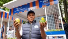 Abu Sufyan, seorang petani mangga dari Desa Botolinggo yang berhasil meningkatkan skala usahanya secara signifikan berkat dukungan pemberdayaan dari BRI. (Dok. BRI)