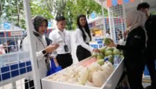 Melon Premium berbasis teknologi hidroponik dari Desa Bansari, Kabupaten Temanggung, Jawa Tengah. (Dok. BRI).