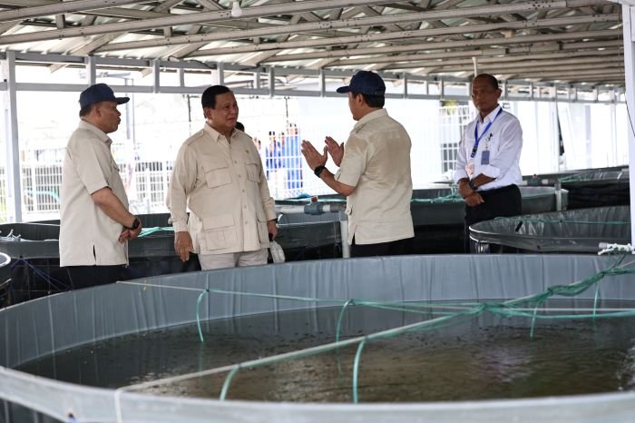 Presiden Prabowo Subianto saat meninjau tambak budidaya ikan nila salin di Balai Layanan Usaha Produksi Perikanan Budidaya Karawang, Jawa Barat, Senin (2/12/2024). (Dok. Tim Komunikasi Prabowo Subianto)