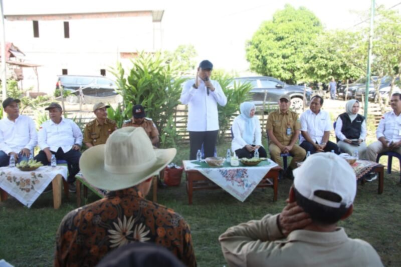 Wakil Menteri Pertanian Sudaryono, usai meninjau panen raya di Kabupaten Ogan Ilir, Sumatera Selatan, Senin (13/1/2025). (Dok. Kementerian Pertanian)