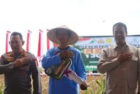 Kegiatan tanam jagung serentak seluas 1 juta hektar yang melibatkan 19 provinsi di Indonesia. (Dok. Kementan)