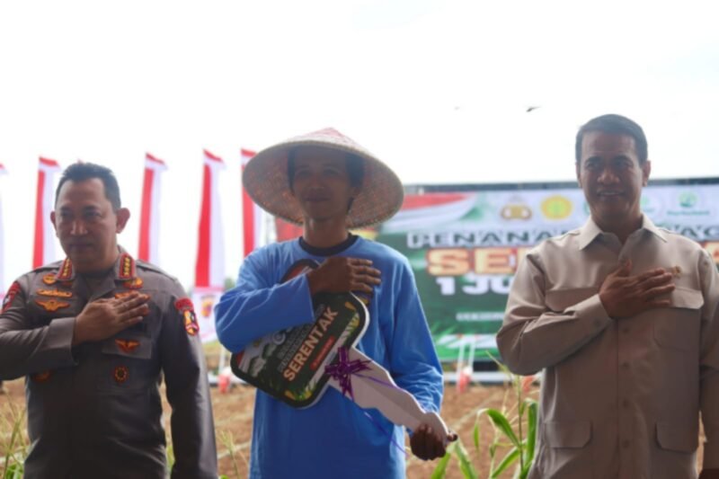 Kegiatan tanam jagung serentak seluas 1 juta hektar yang melibatkan 19 provinsi di Indonesia. (Dok. Kementan)