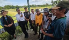 Ketua Komisi IV DPR RI Titiek Soeharto bersama Menteri Pertanian Andi Amran Sulaiman saat meninjau jalanya panen raya di Kabupaten Bantul, Rabu, 15 Januari 2025. (Dok. Kementerian Pertanian)