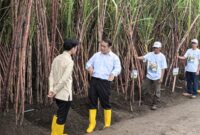Wamentan Sudaryono menyerahkan traktor dan combine harvester ke petani Ketapang, dia peringatkan larangan jual atau sewa alsintan bantuan negara. (Dok. Kementerian Pertanian)

