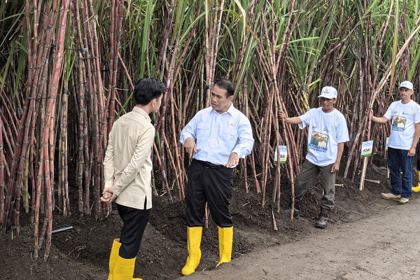 Wamentan Sudaryono menyerahkan traktor dan combine harvester ke petani Ketapang, dia peringatkan larangan jual atau sewa alsintan bantuan negara. (Dok. Kementerian Pertanian)
