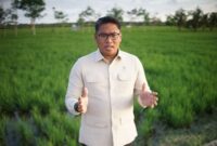 Wakil Menteri Pertanian (Wamentan) Sudaryono. (Dok. Kementan)