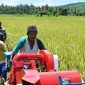 Petani memanen padi di Jawa Tengah—simbol keberhasilan program percepatan tanam yang dongkrak produksi nasional. (Facebook.com @Kementerian Pertanian Republik Indonesia)