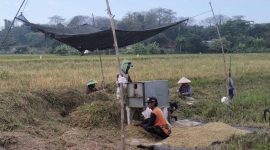 Petani Klaten memanen padi gadu 2025 dengan hasil melimpah. (Dok. Kementan)

